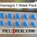 Kamagra 1 Week Pack 22